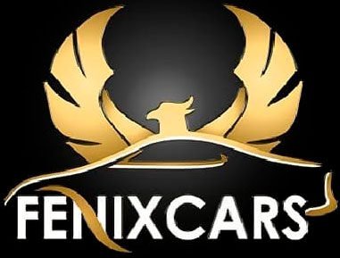 FENIX CARS